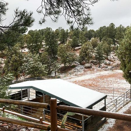 Multi-Family Rocking Horse Ranch With Sauna! Payson Eksteriør bilde